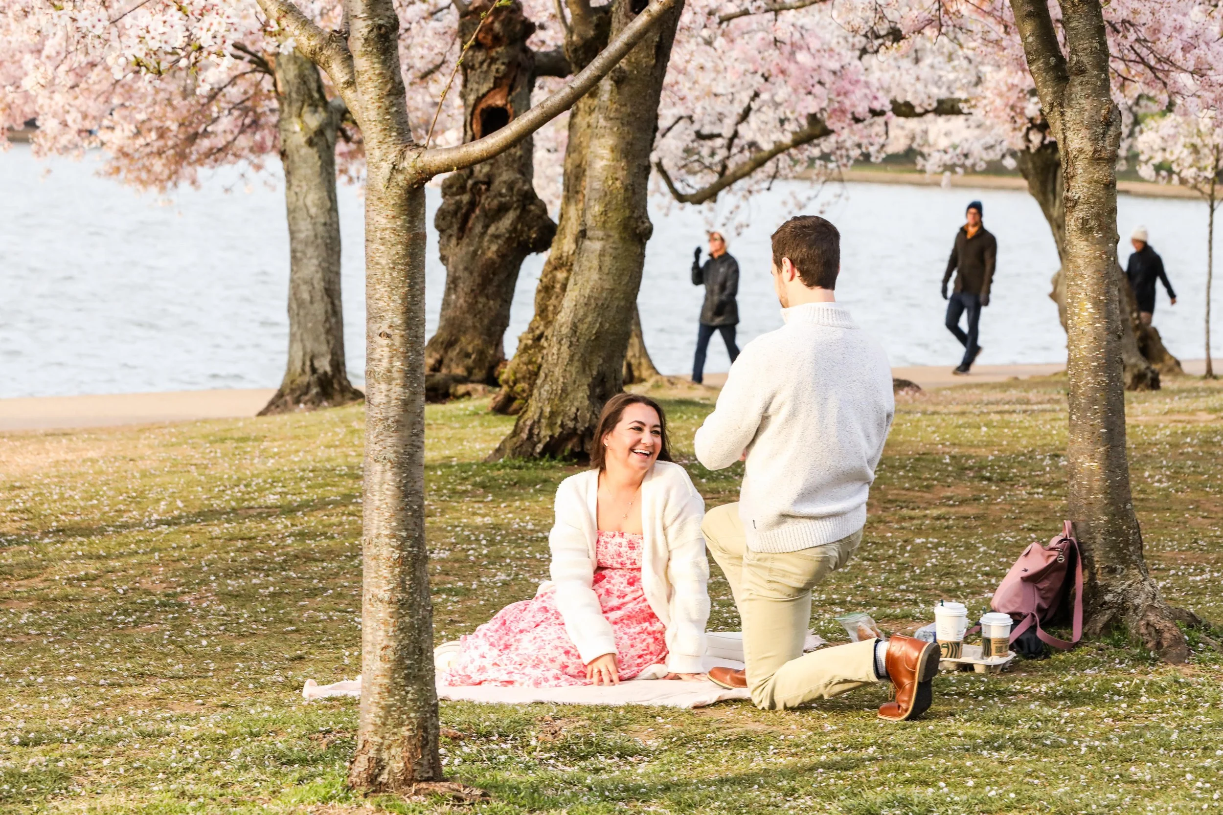 Washington DC, Baltimore, Philly & NYC Event & Surprise Proposal
